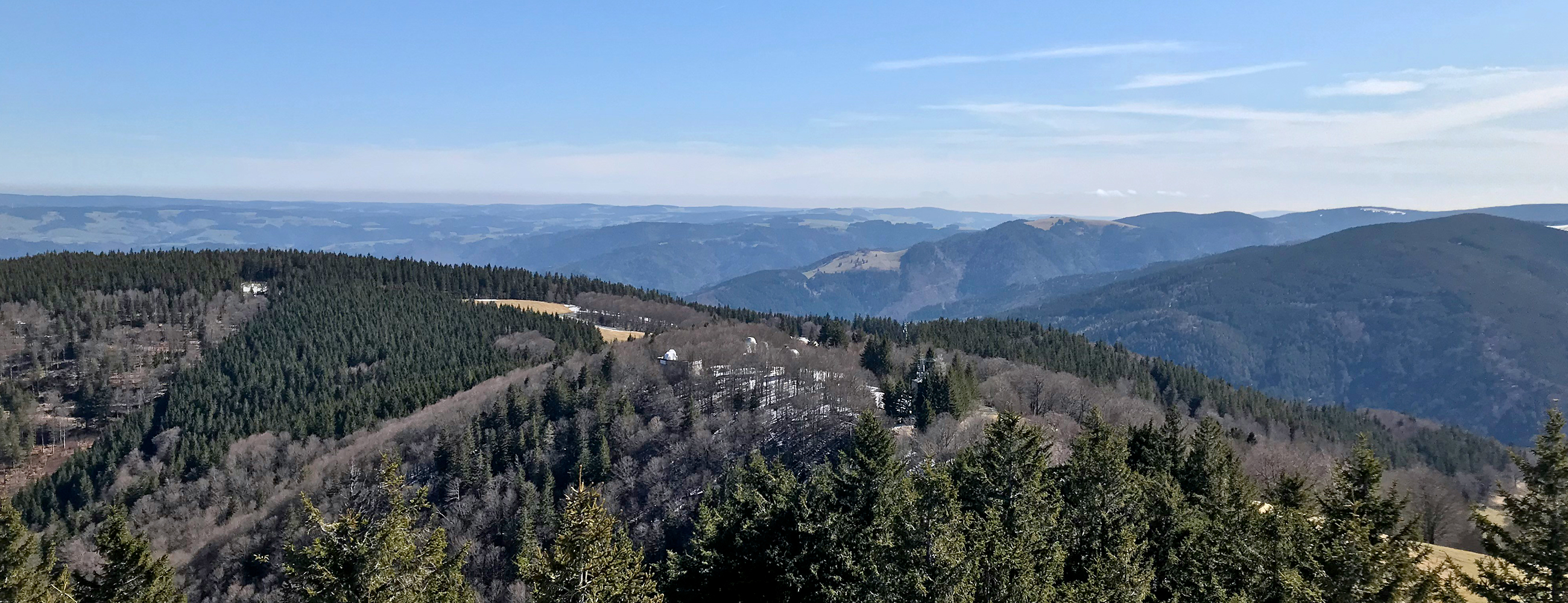 Fribourg-en-Brisgau