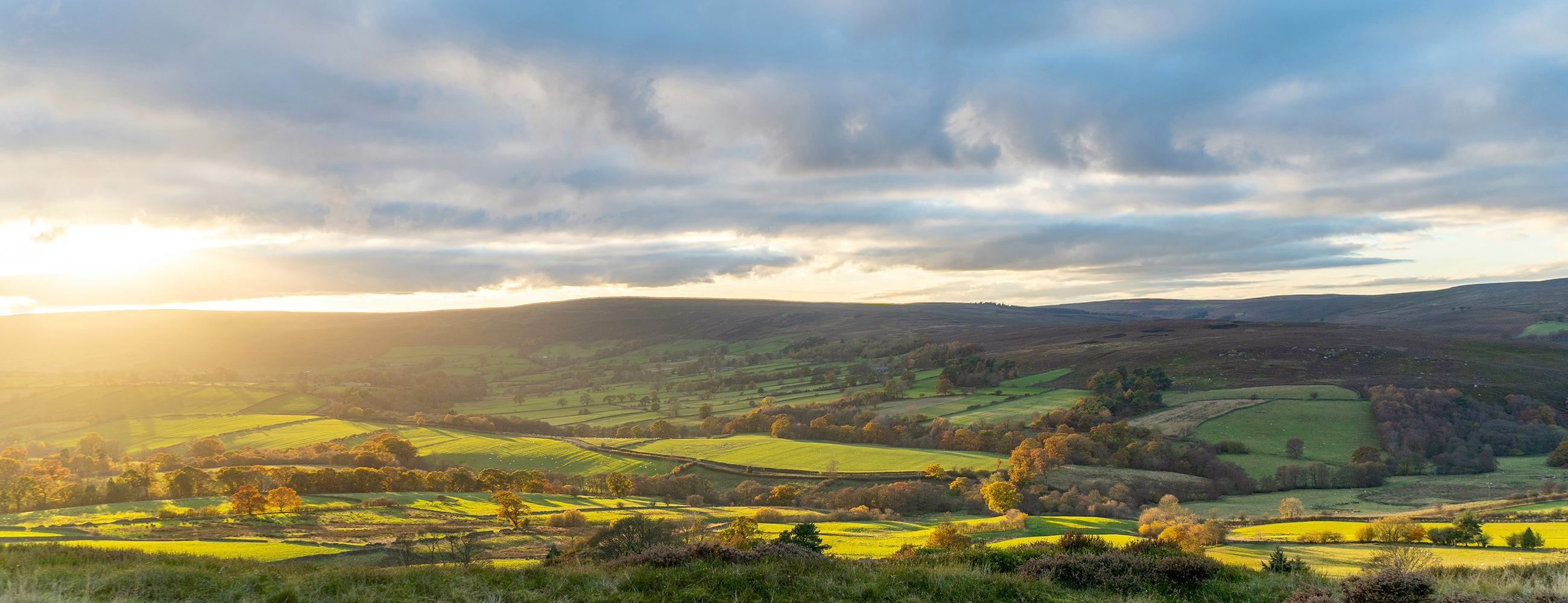 Le Yorkshire