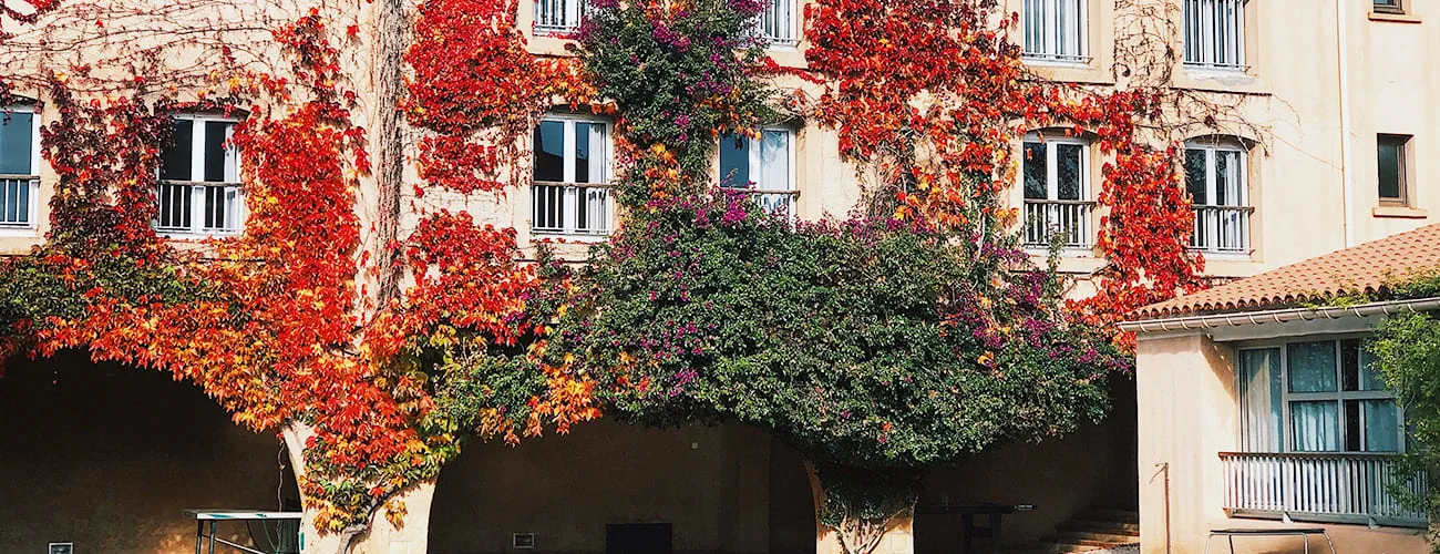 Hyères-les-Palmiers