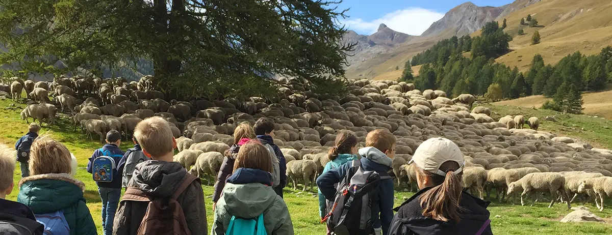 La Transhumance