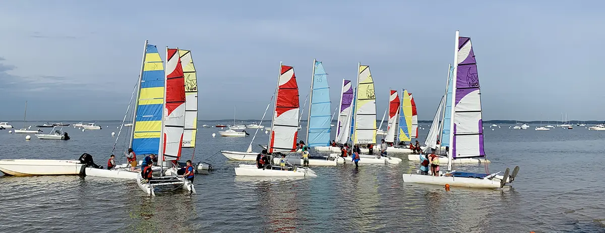 Voile