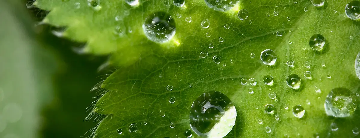 Voyage d'une goutte d'eau