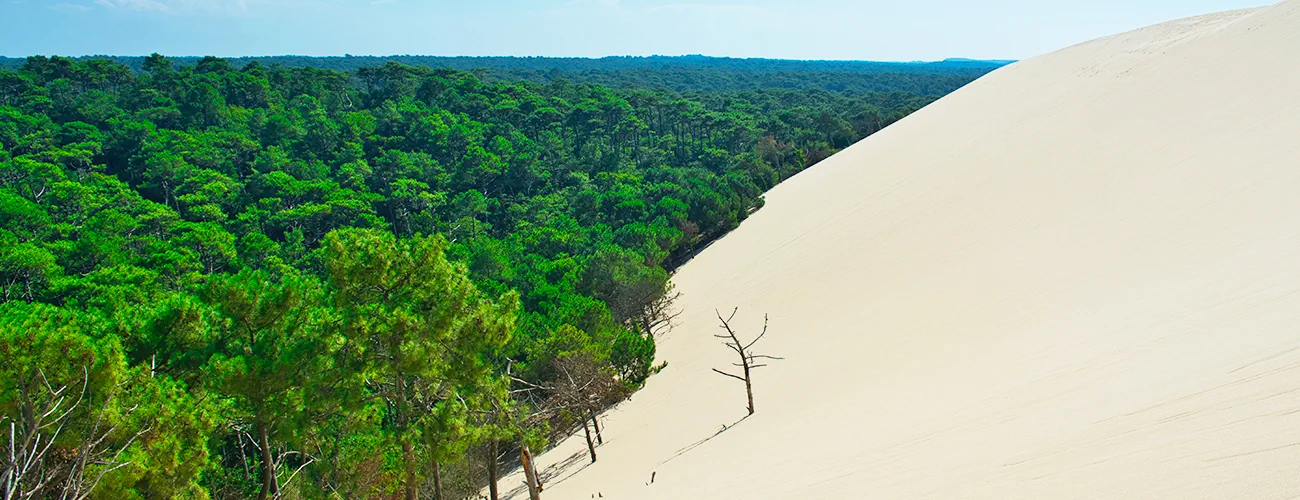 Le Bassin d’Arcachon