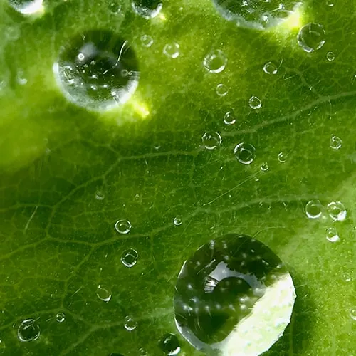 Voyage d’une goutte d’eau