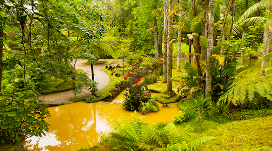 Açores