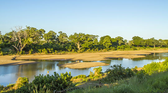 Afrique du Sud