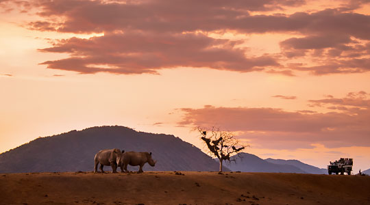 Afrique du Sud