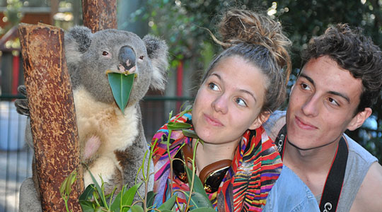 Australie (entre Cairns et Brisbane)