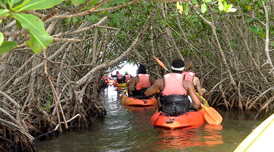 Guadeloupe