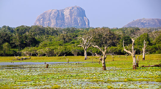 Sri Lanka