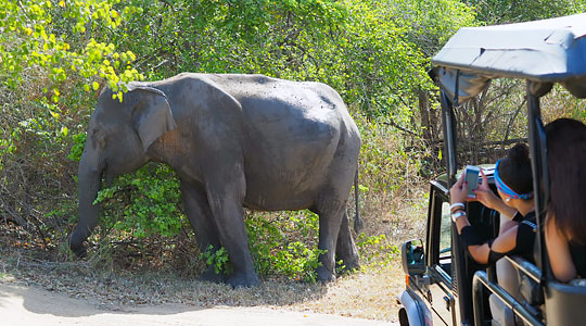 Sri Lanka