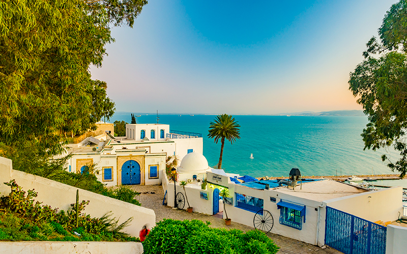 L'avis des enseignants