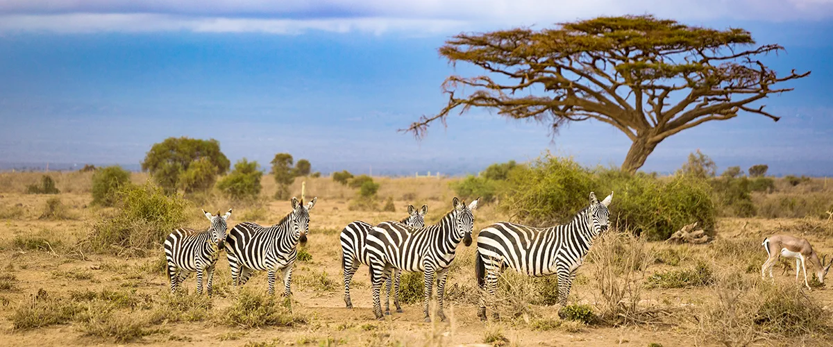 Afrique du Sud